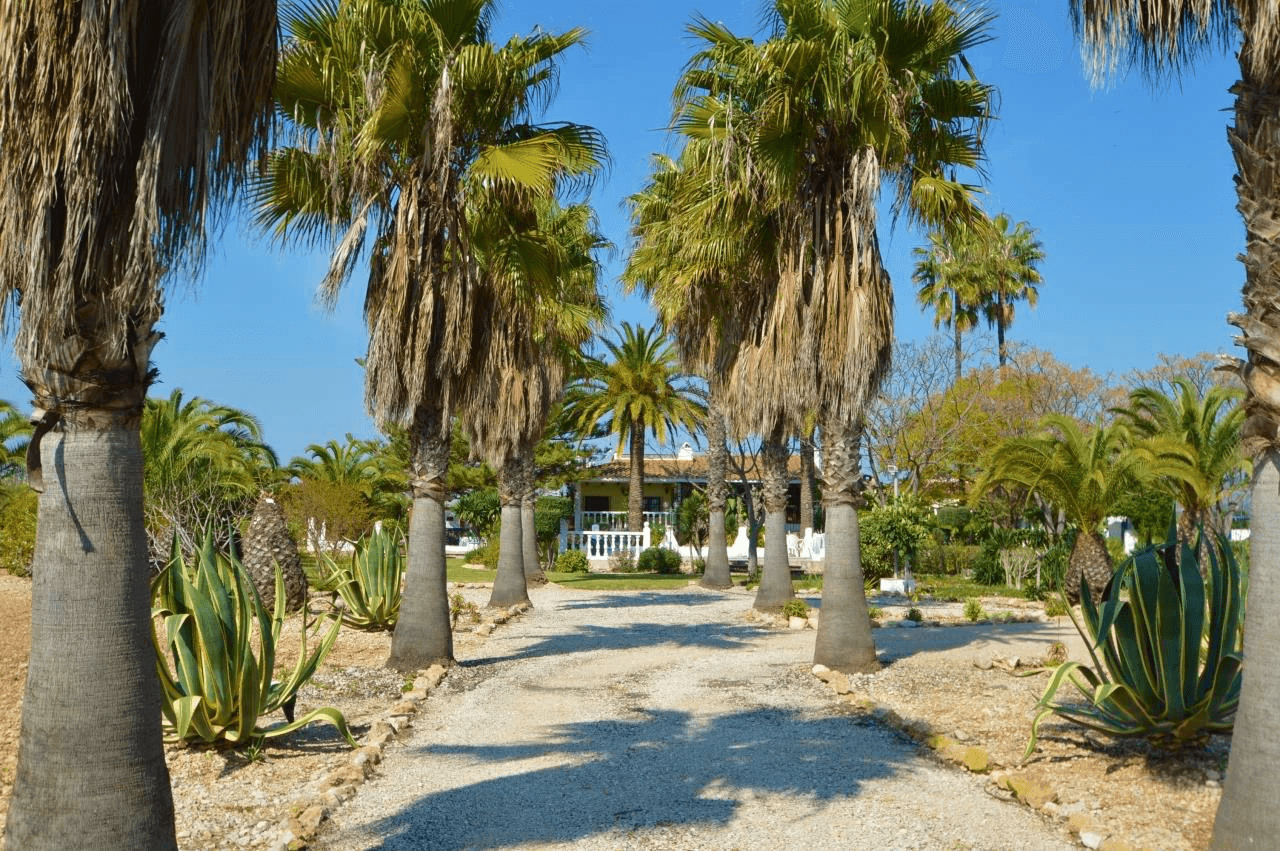 Fincas y casas de campo en Vinaros