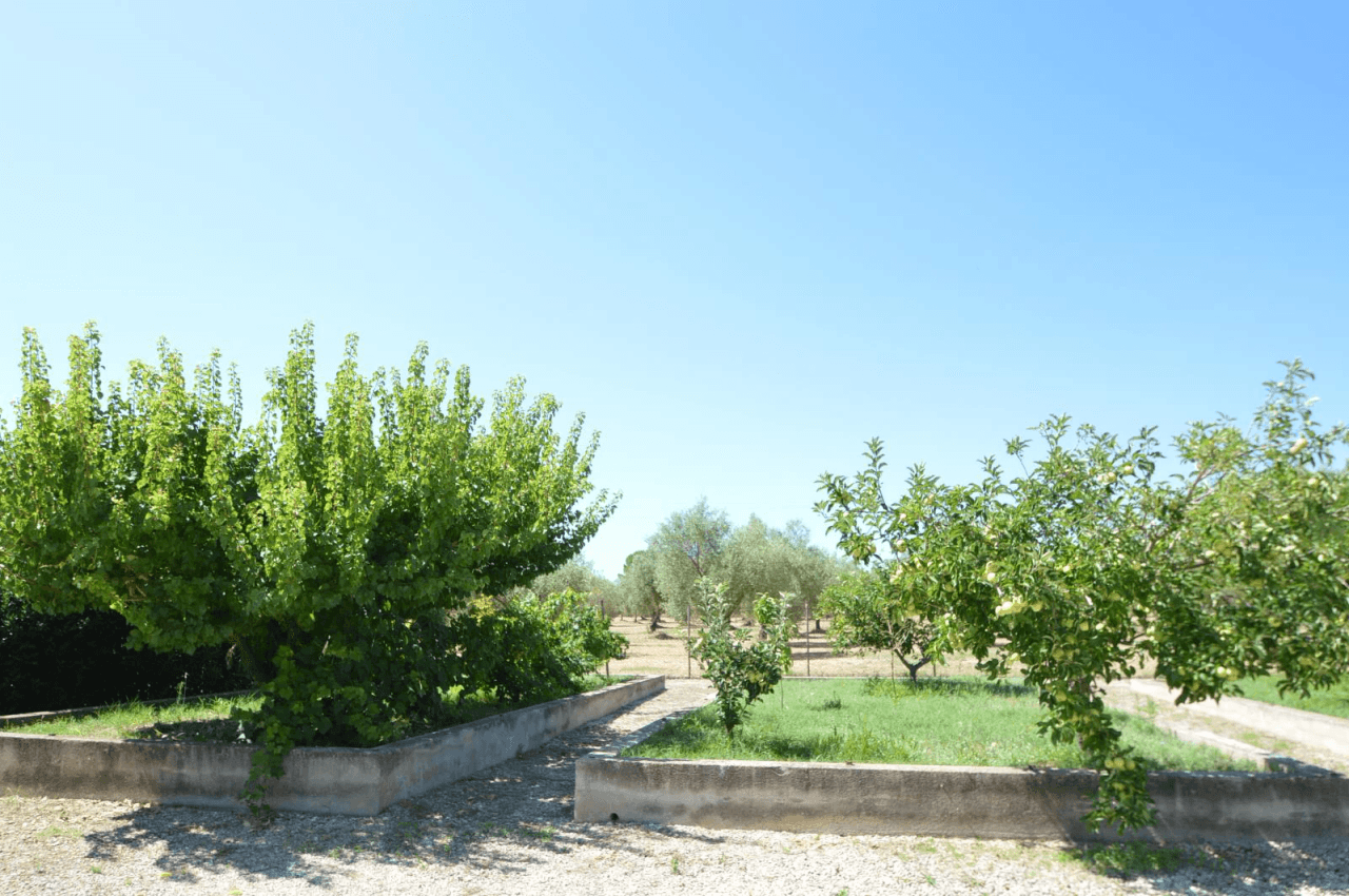 Finca en venta en Ulldecona con piscina y 3 dormitorios