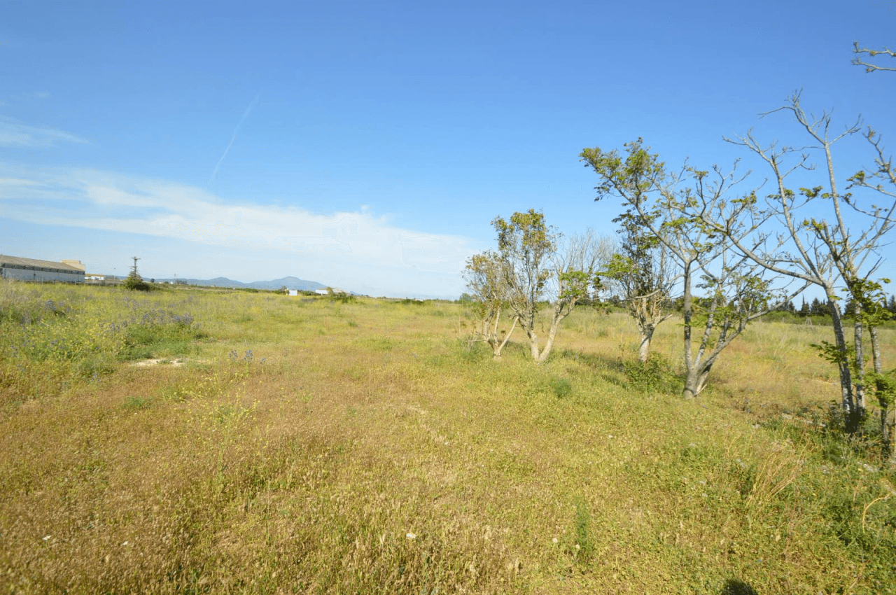 En venta Finca en Vinaròs, granja escuela