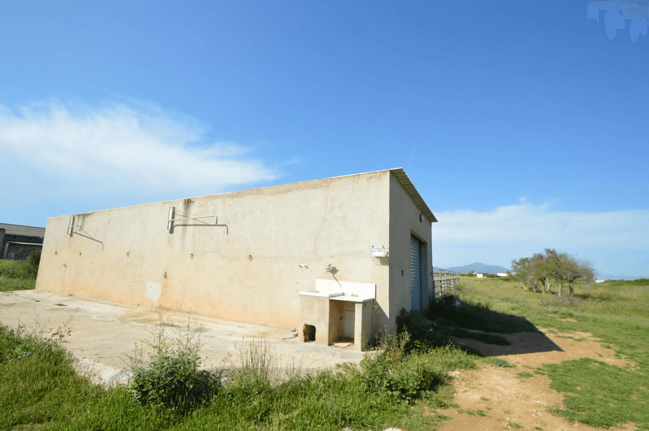 En venta Finca en Vinaròs, granja escuela