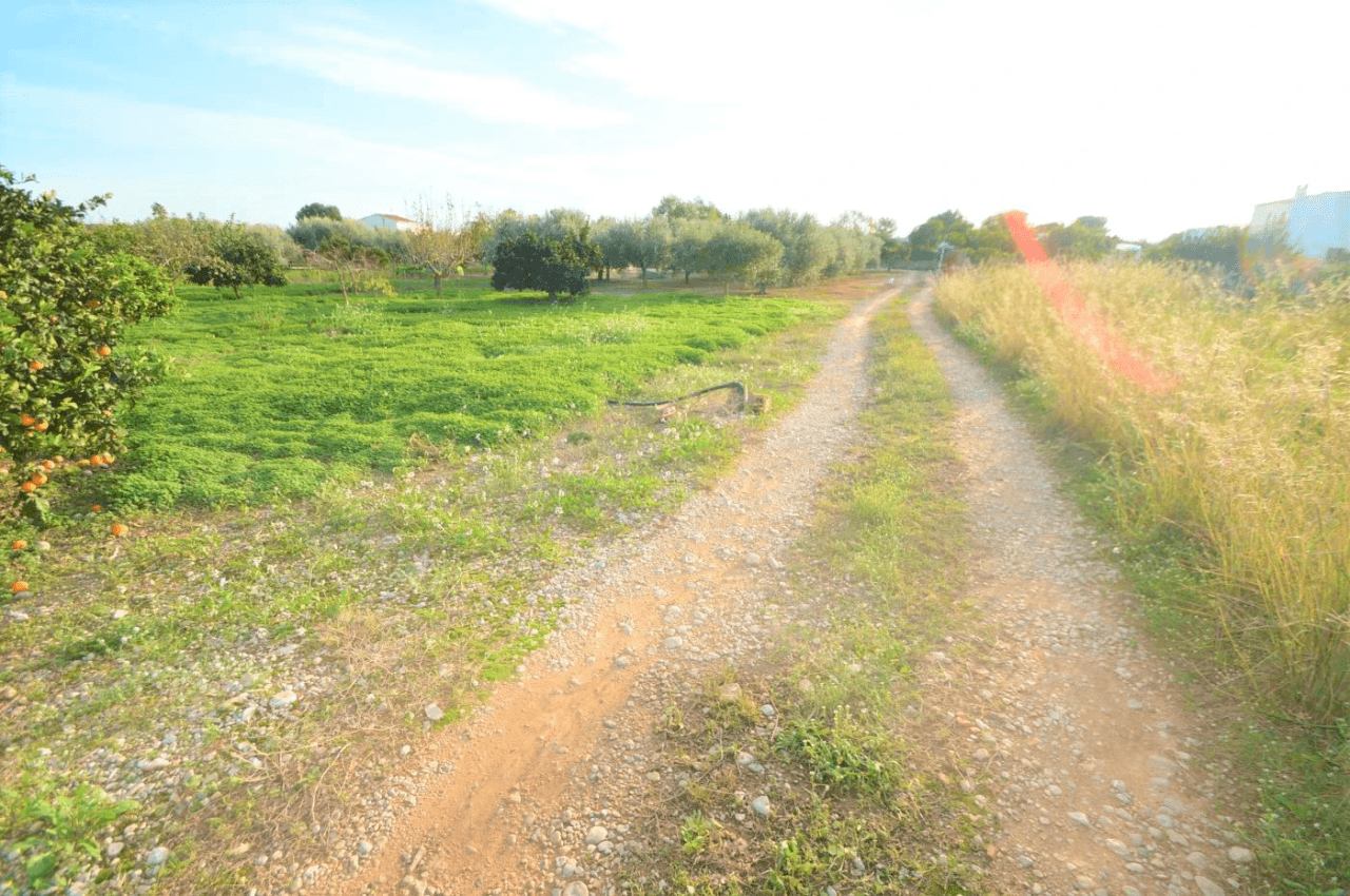 Finca en venta en Vinaròs - Zona Rural con amplia parcela