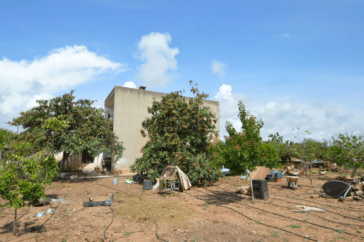 Finca en venta en Benicarló con casa y almacén