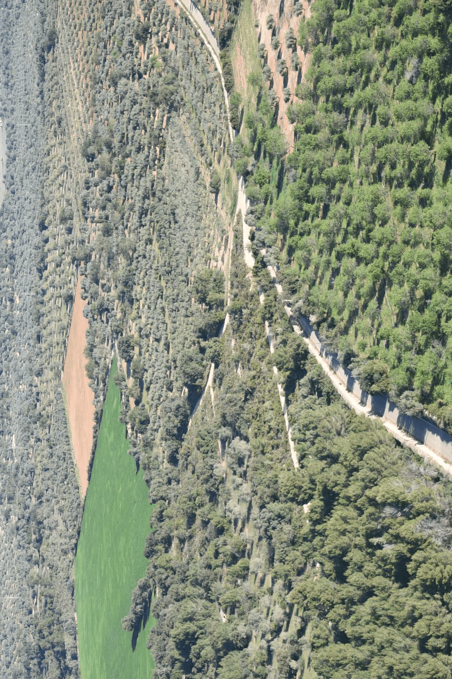 En venta finca rústica en Sant Jordi (Castellón)