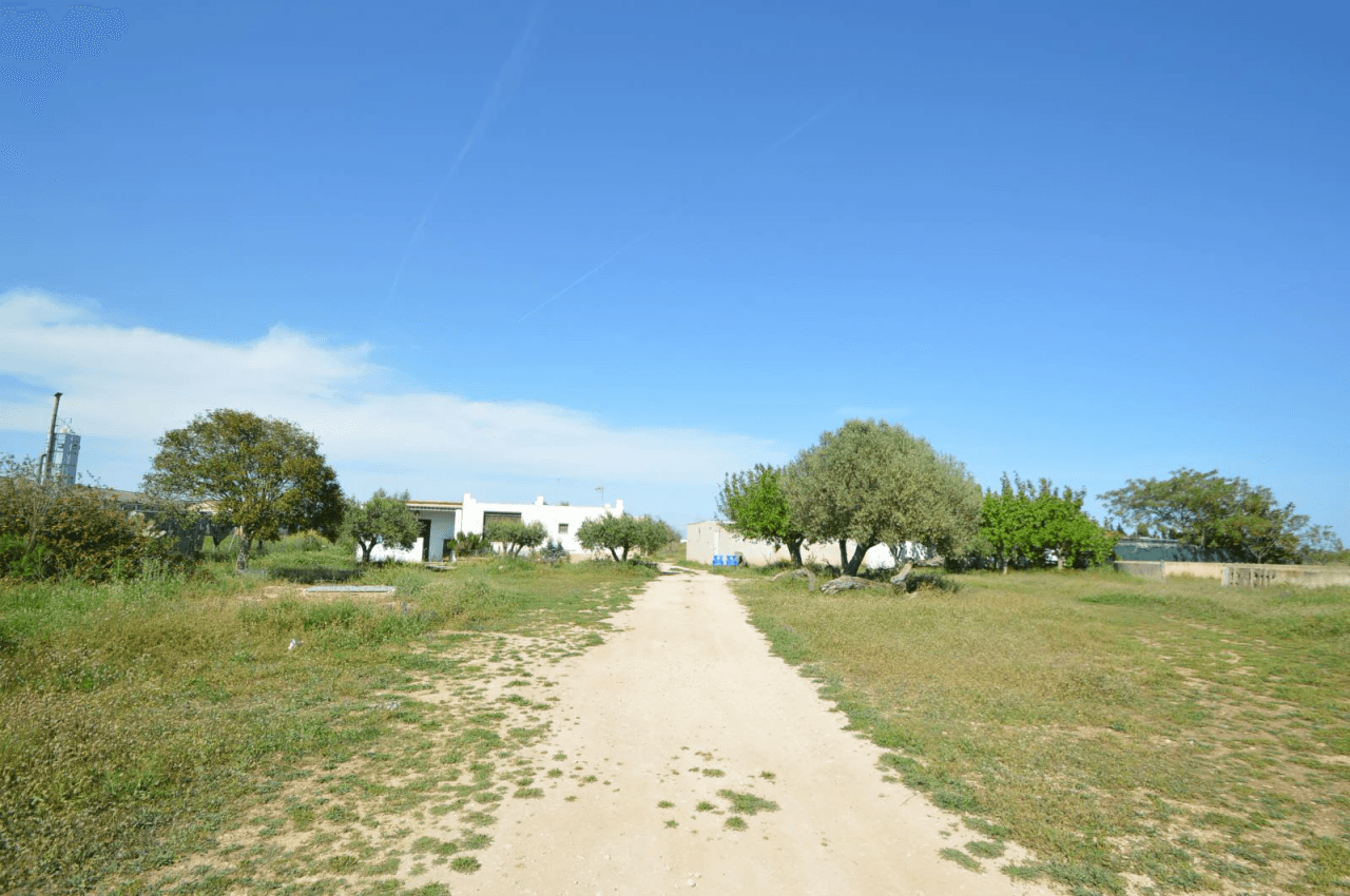 En venta Finca en Vinaròs, granja escuela