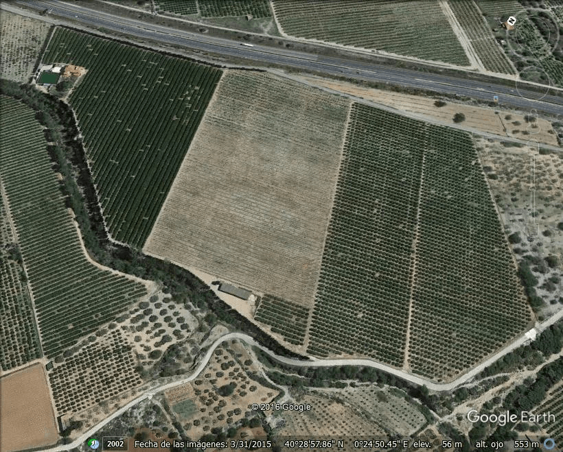 Gran Finca de naranjos con Villa en Vinaròs
