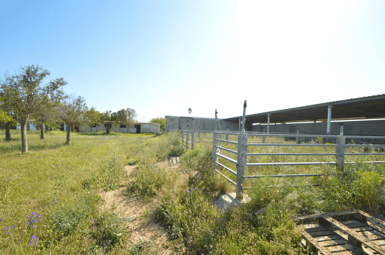 En venta Finca en Vinaròs, granja escuela