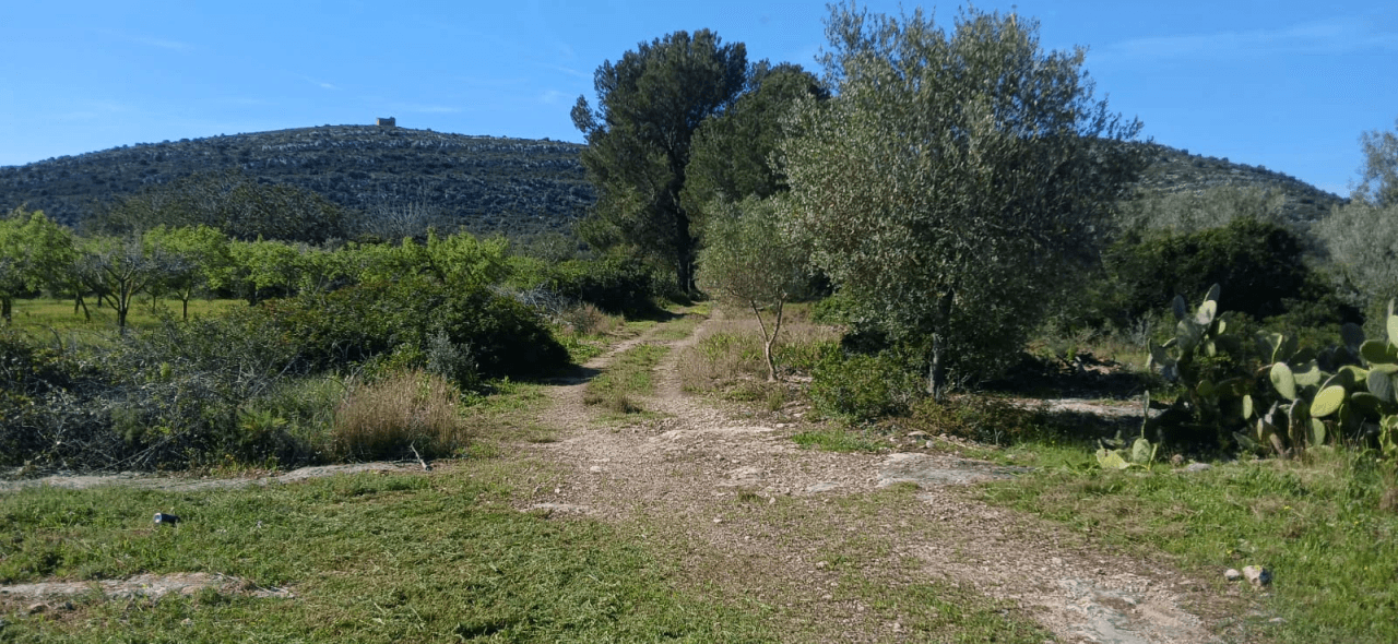 Finca en venta en zona Soterrañes Vinaròs