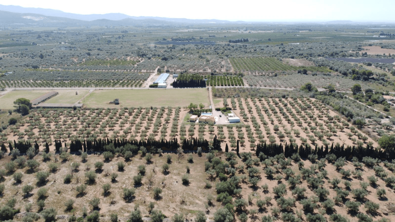 Finca en venta en Ulldecona con piscina y 3 dormitorios
