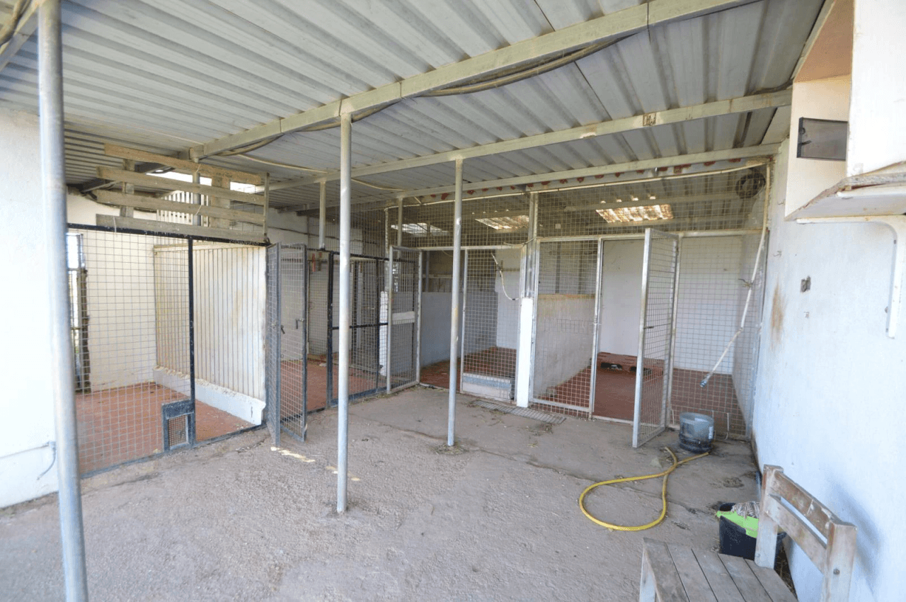 En venta Finca en Vinaròs, granja escuela