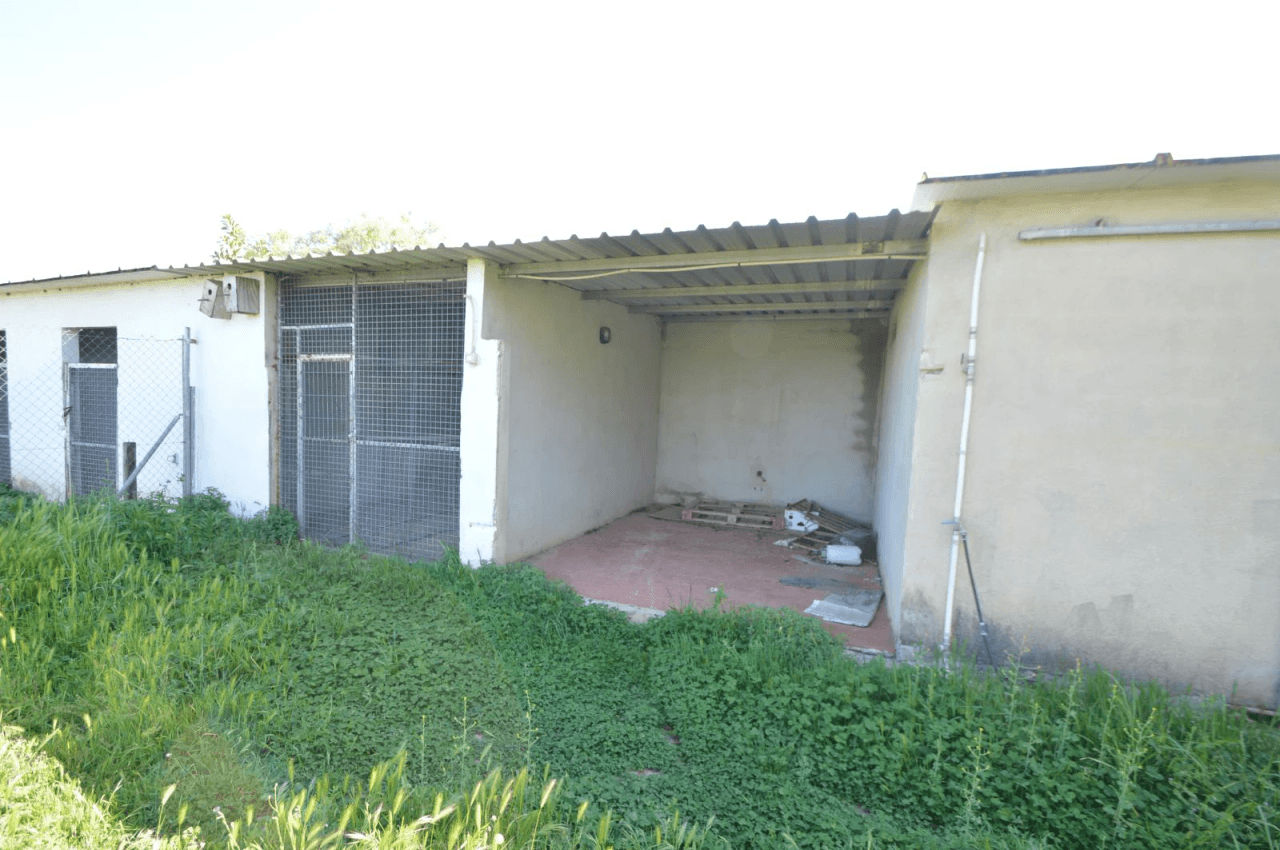 En venta Finca en Vinaròs, granja escuela