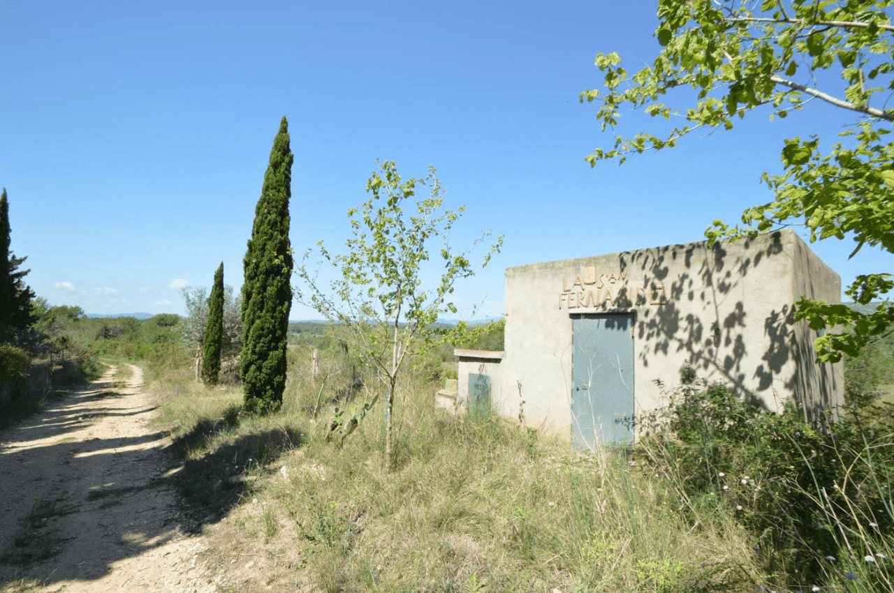 En venta, Finca rústica en Alcalá de Xivert (Castellón)