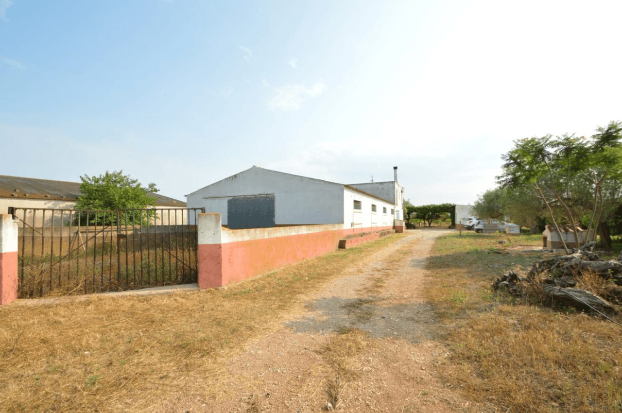 Finca en venta en Vinaròs, zona rural, con 3 habitaciones.