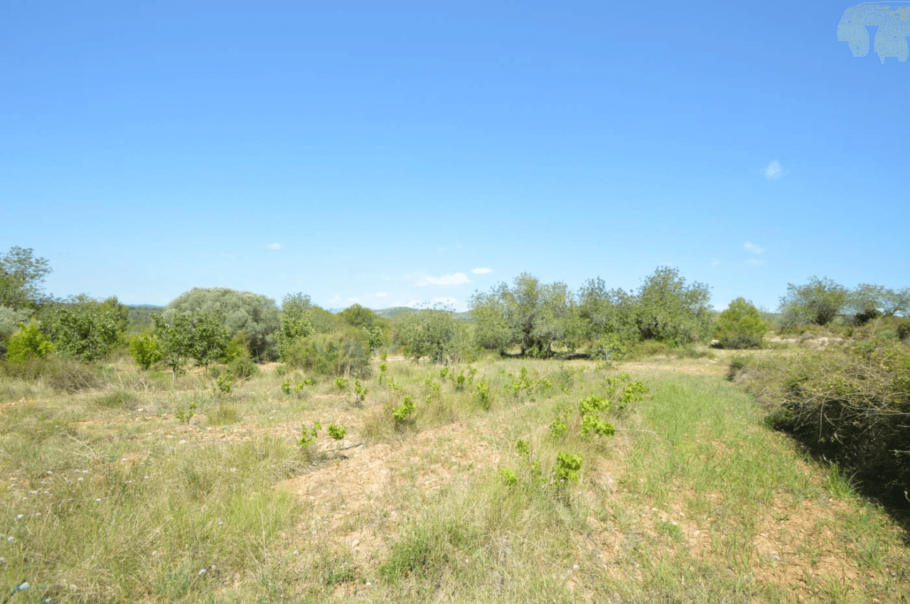 En venta, Finca rústica en Alcalá de Xivert (Castellón)