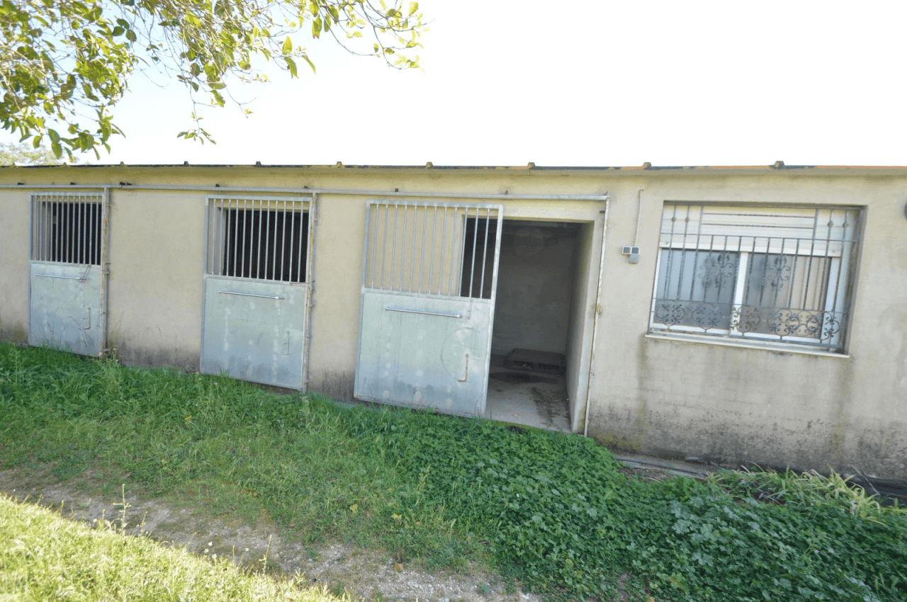 En venta Finca en Vinaròs, granja escuela