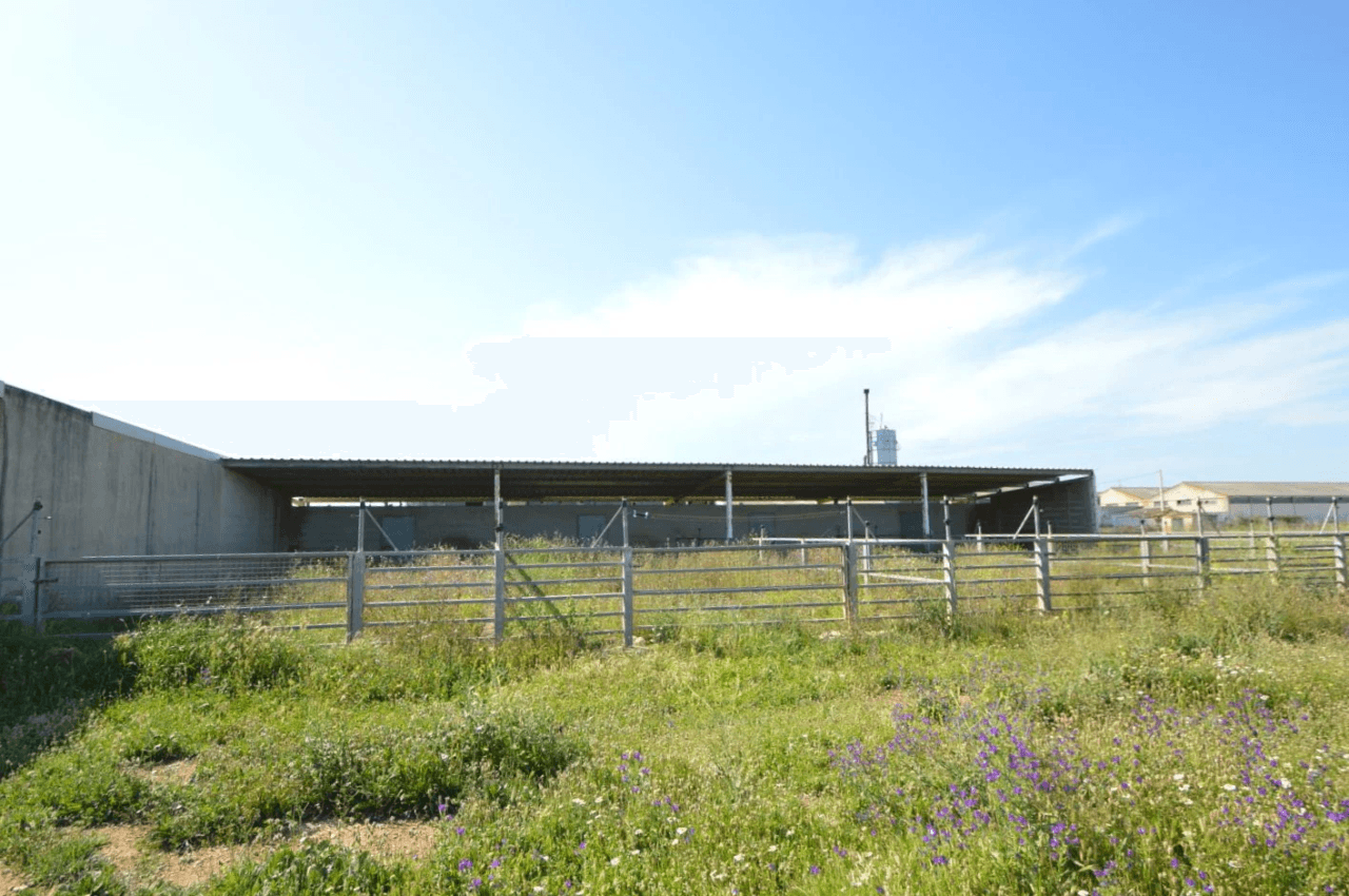 En venta Finca en Vinaròs, granja escuela