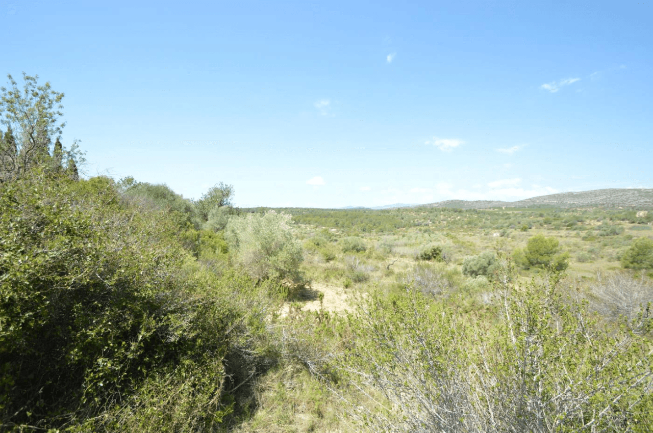 En venta, Finca rústica en Alcalá de Xivert (Castellón)