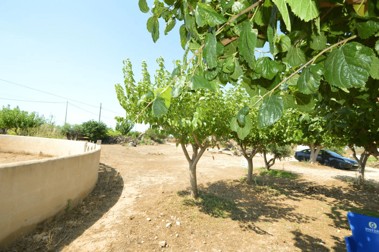 En venta Finca en Vinaròs, granja escuela