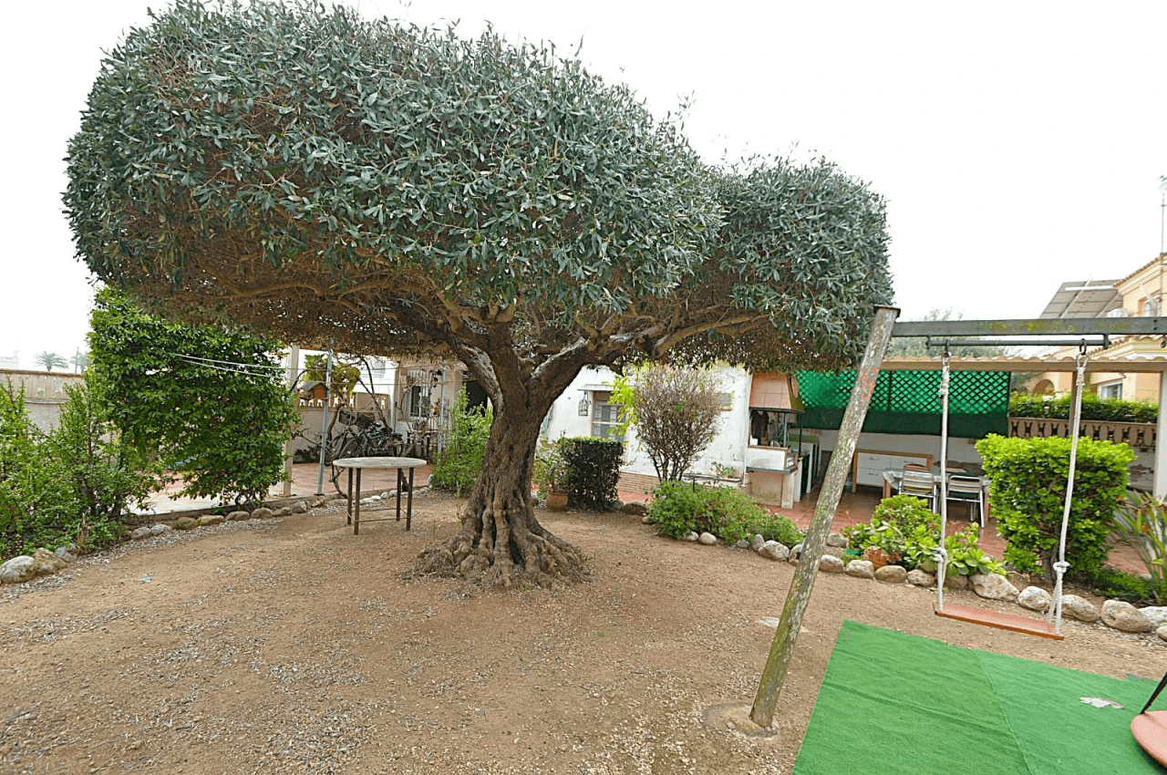 Parcela con 3 casas en venta en Vinaròs