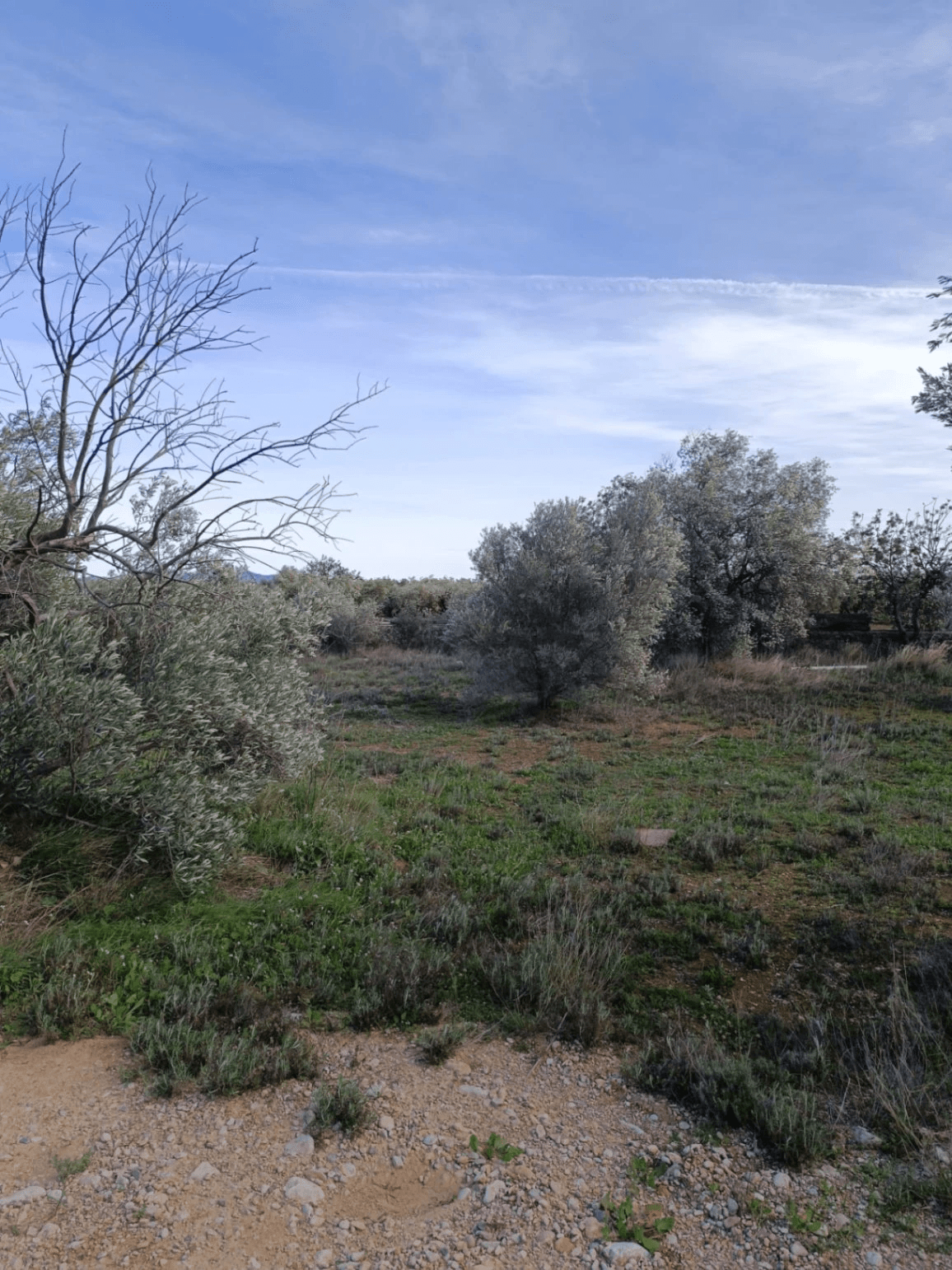 Finca en venta en Canet lo Roig con casa y algibe.