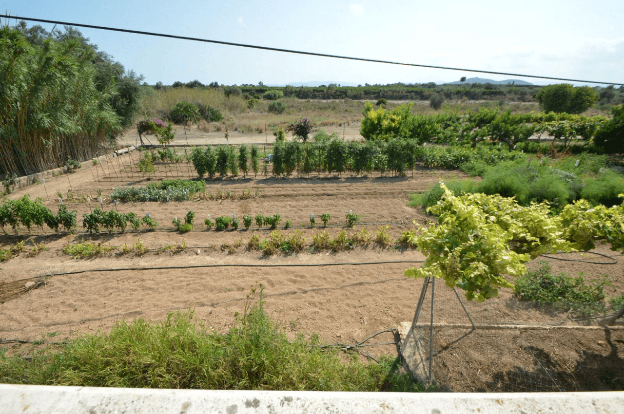 En venta finca con chalet en Vinaròs