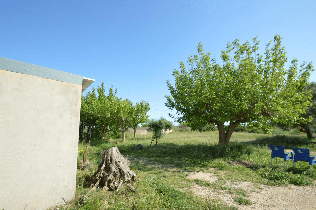 En venta Finca en Vinaròs, granja escuela