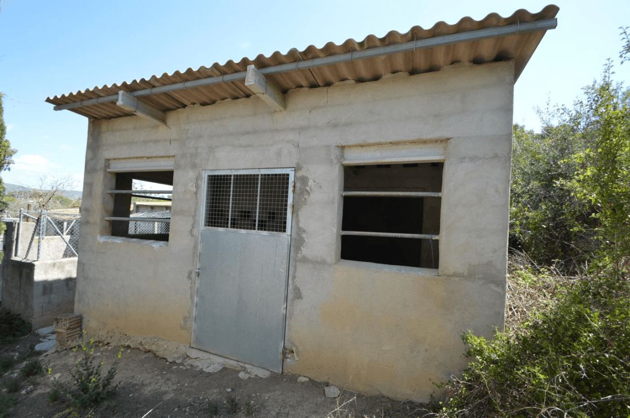En venta, Finca rústica en Alcalá de Xivert (Castellón)