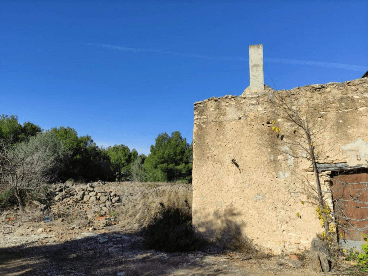 Finca de olivos en venta en Traiguera