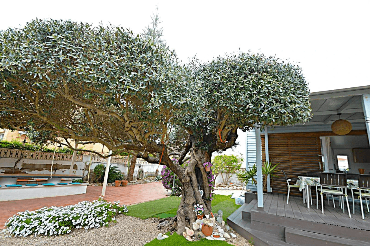 Parcela con 3 casas en venta en Vinaròs