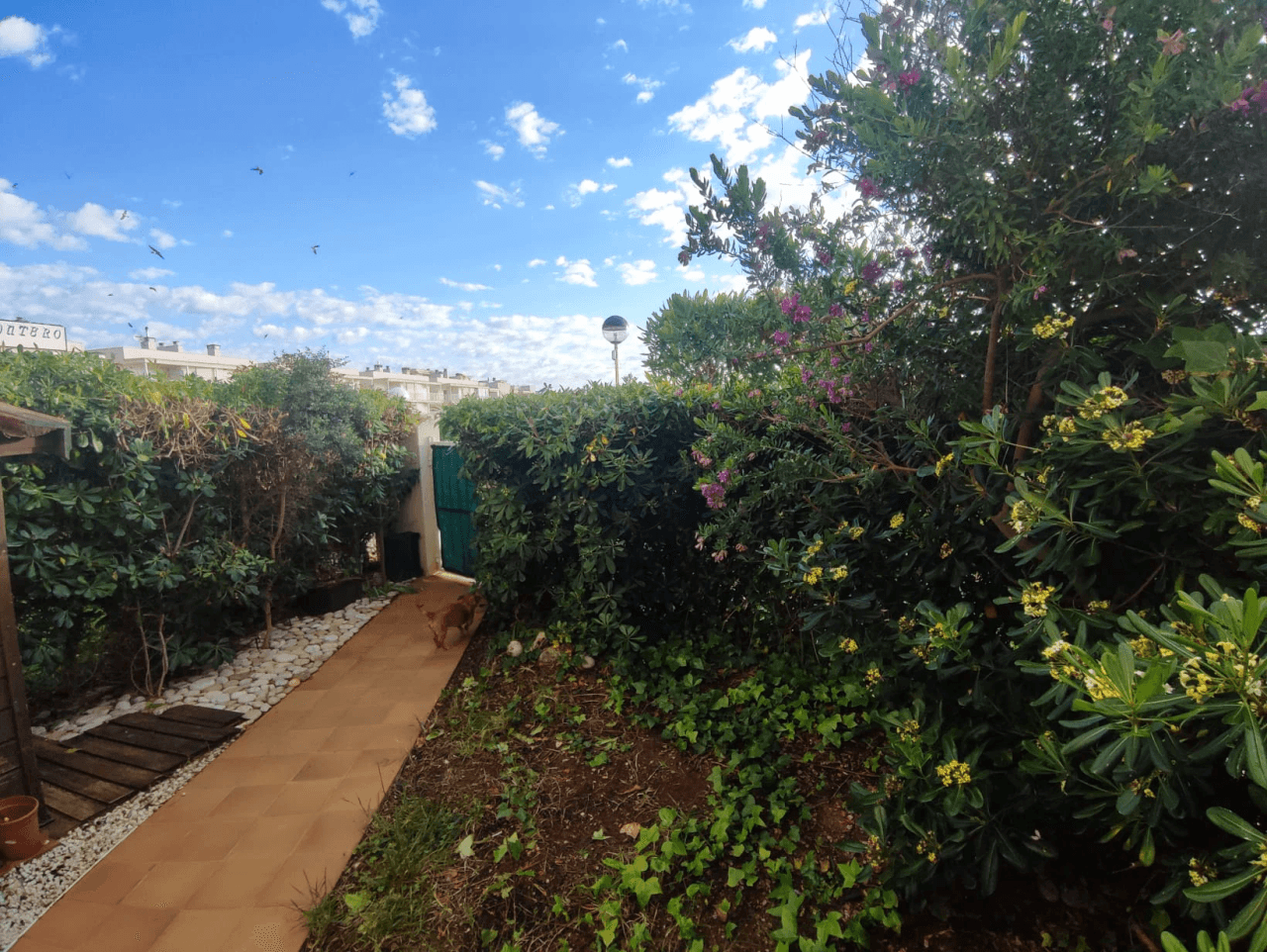 Apartamento en primera línea de mar