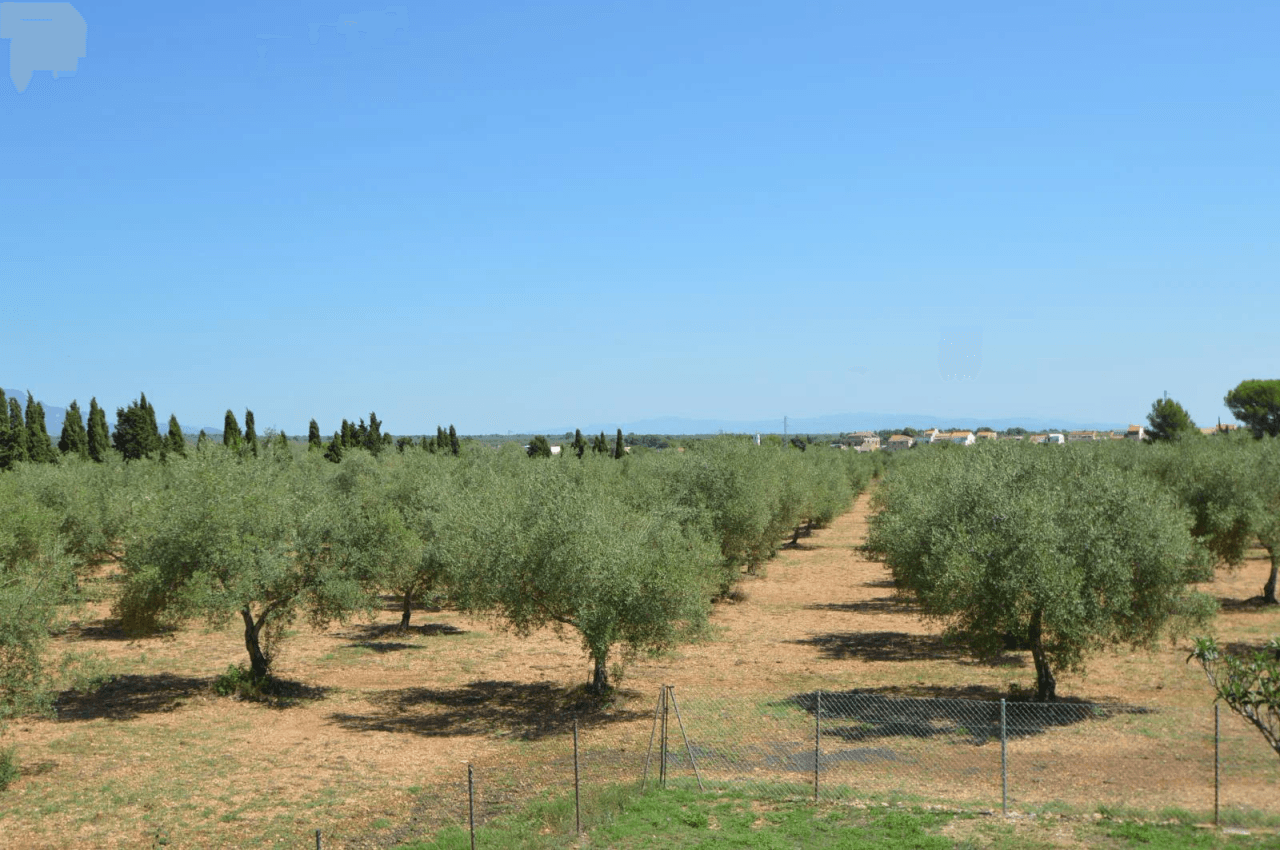 Finca en venta en Ulldecona con piscina y 3 dormitorios
