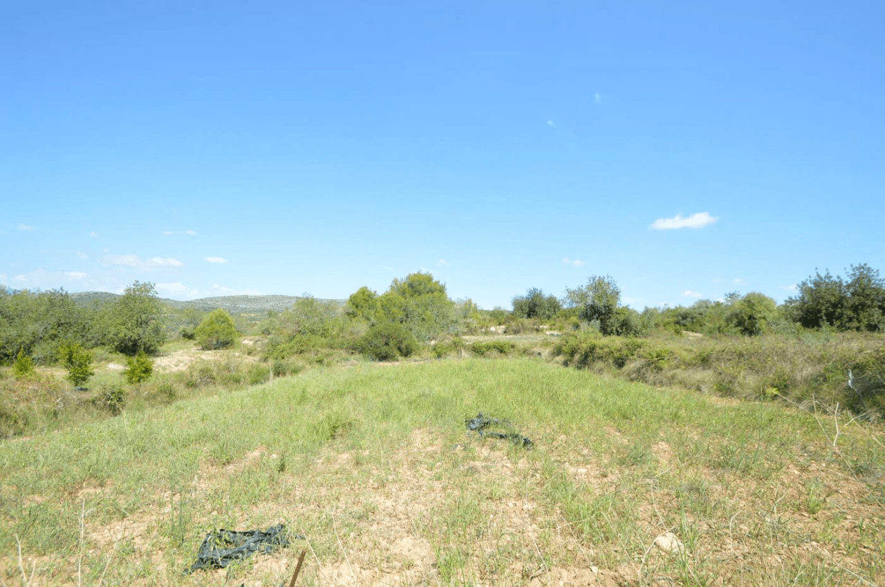 En venta, Finca rústica en Alcalá de Xivert (Castellón)