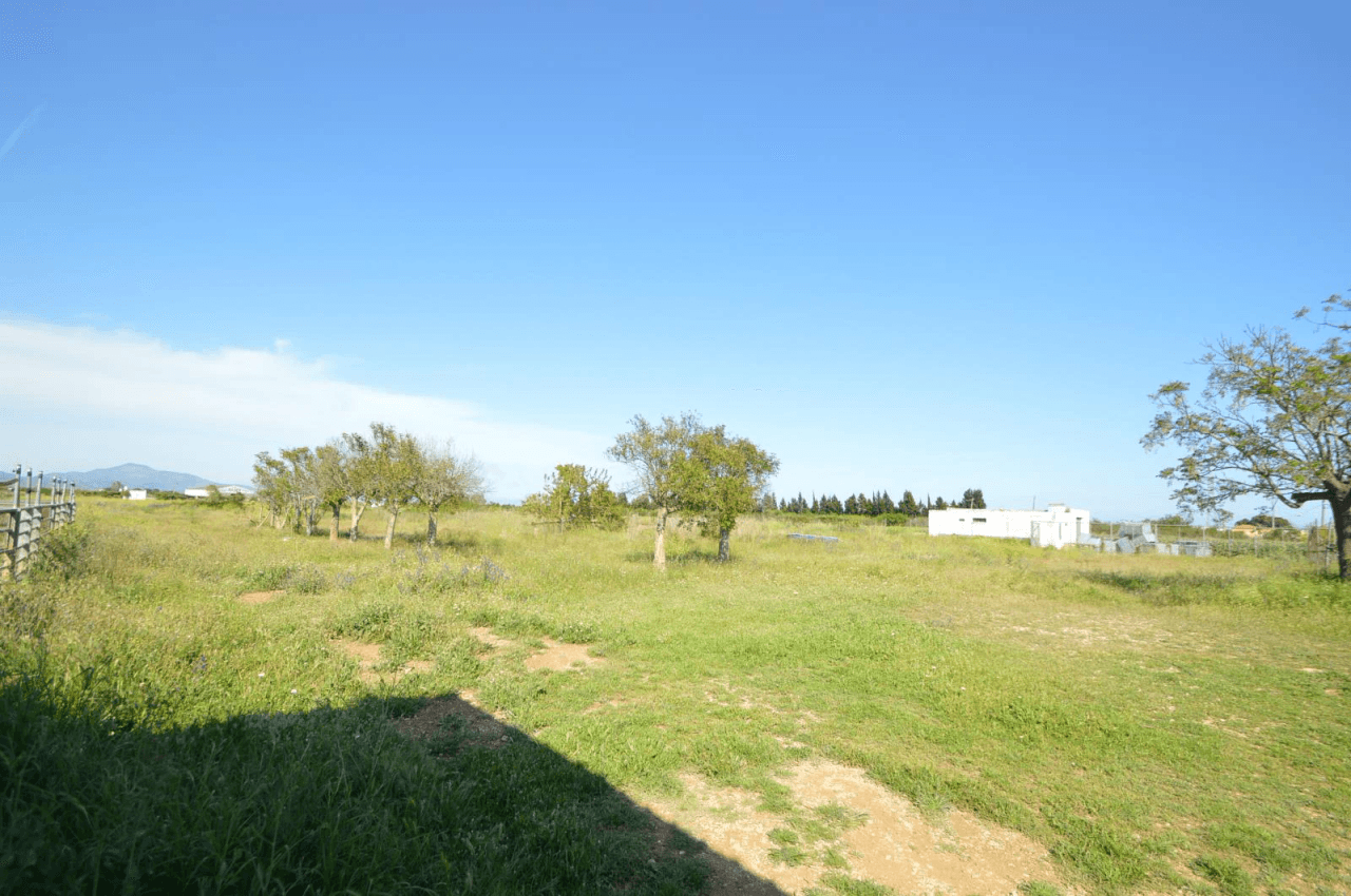 En venta Finca en Vinaròs, granja escuela
