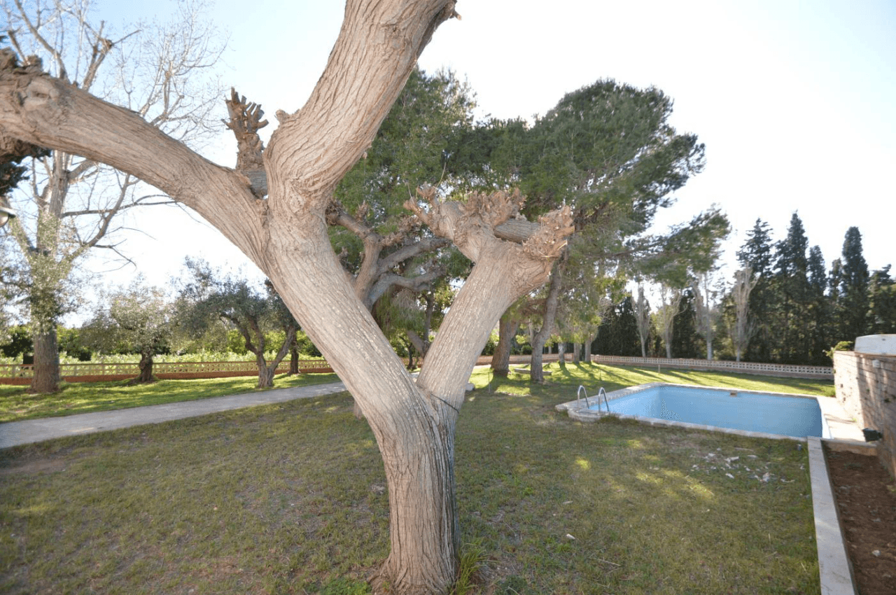 Gran Finca de naranjos con Villa en Vinaròs