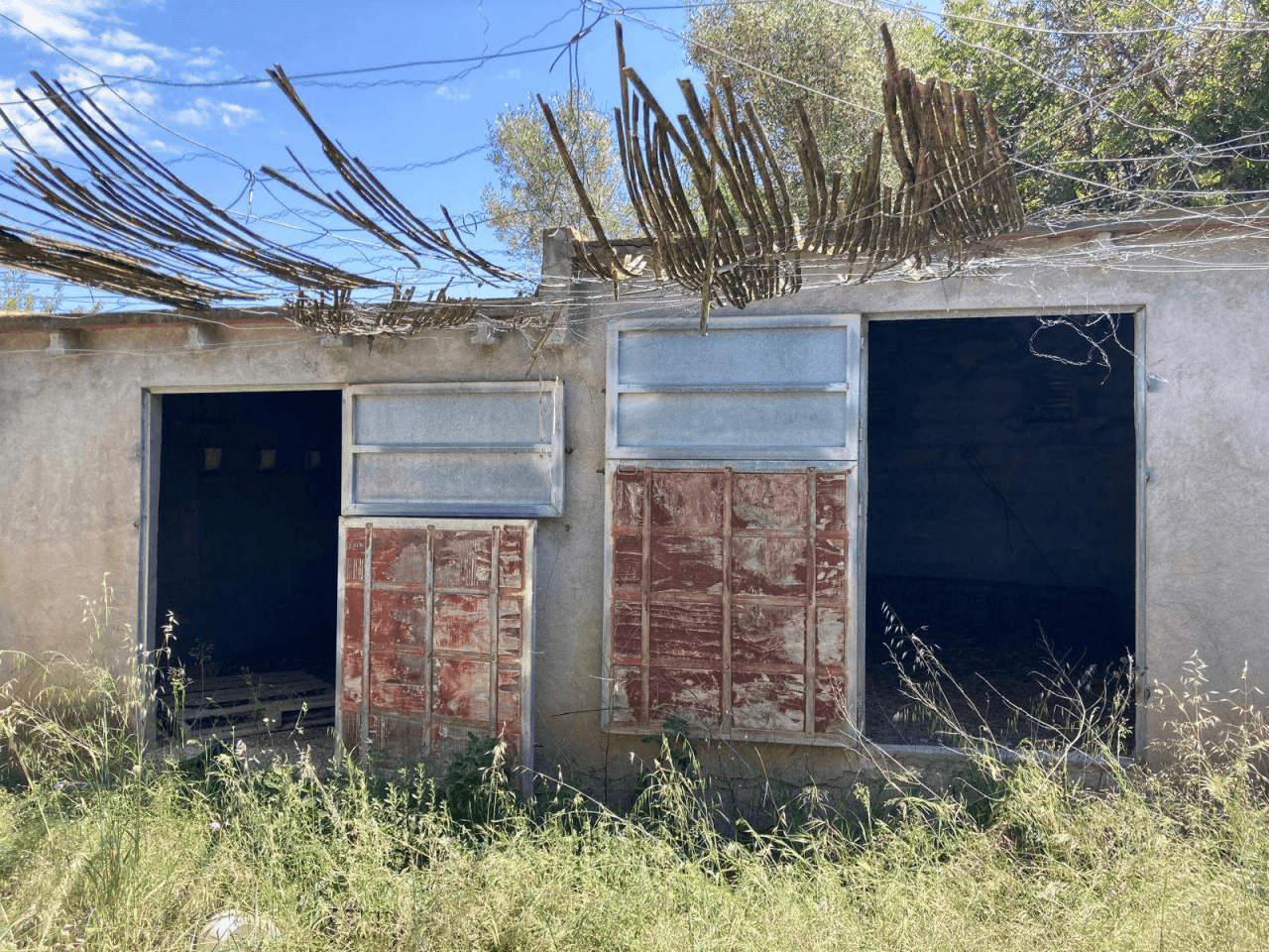En venta, Finca rústica en Alcalá de Xivert (Castellón)