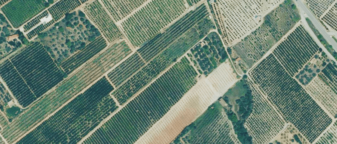 Finca en la zona Soterrañes de Vinaròs