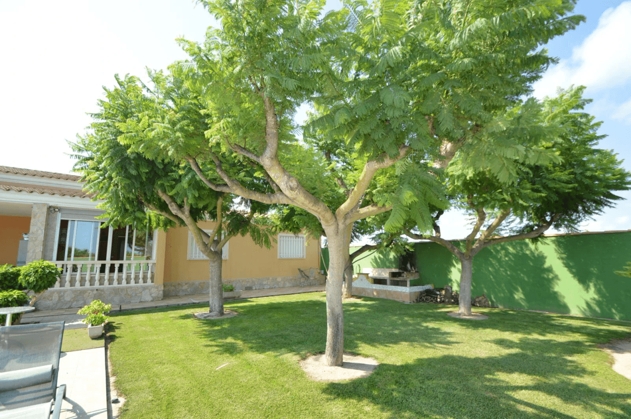 En venta finca con chalet en Vinaròs