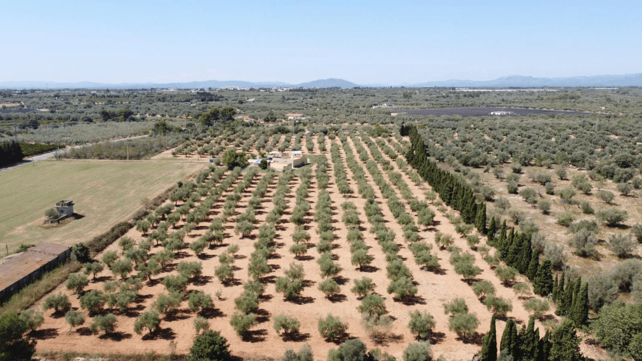 Finca en venta en Ulldecona con piscina y 3 dormitorios