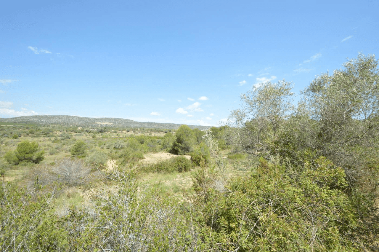 En venta, Finca rústica en Alcalá de Xivert (Castellón)