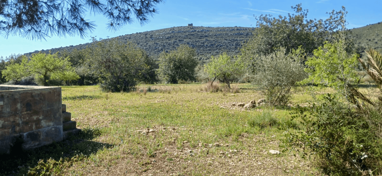 Finca en venta en zona Soterrañes Vinaròs