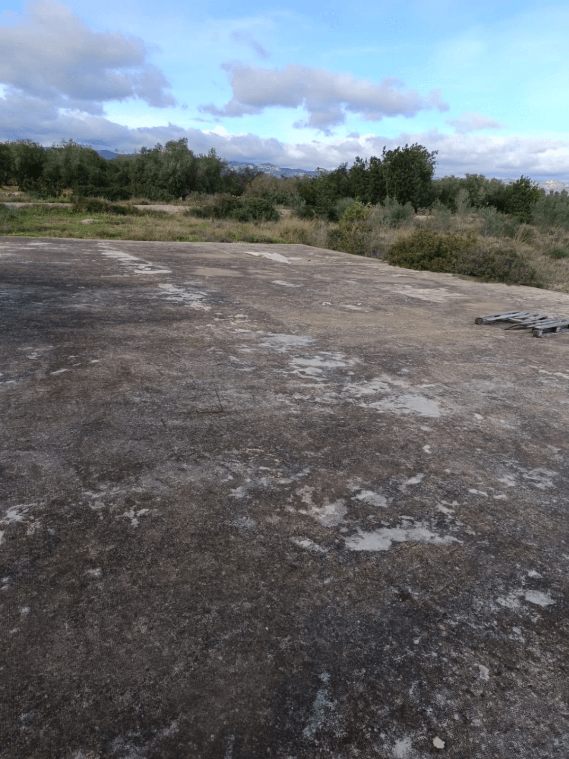 Finca en venta en Canet lo Roig con casa y algibe.