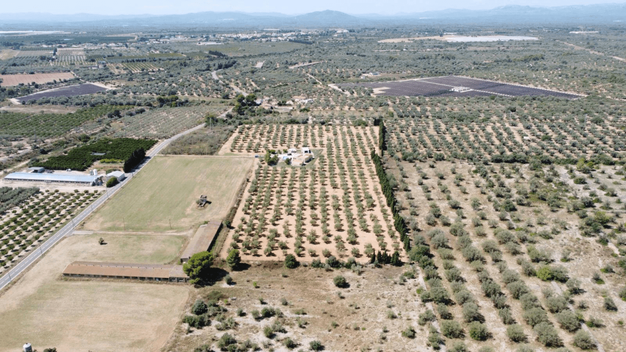 Finca en venta en Ulldecona con piscina y 3 dormitorios