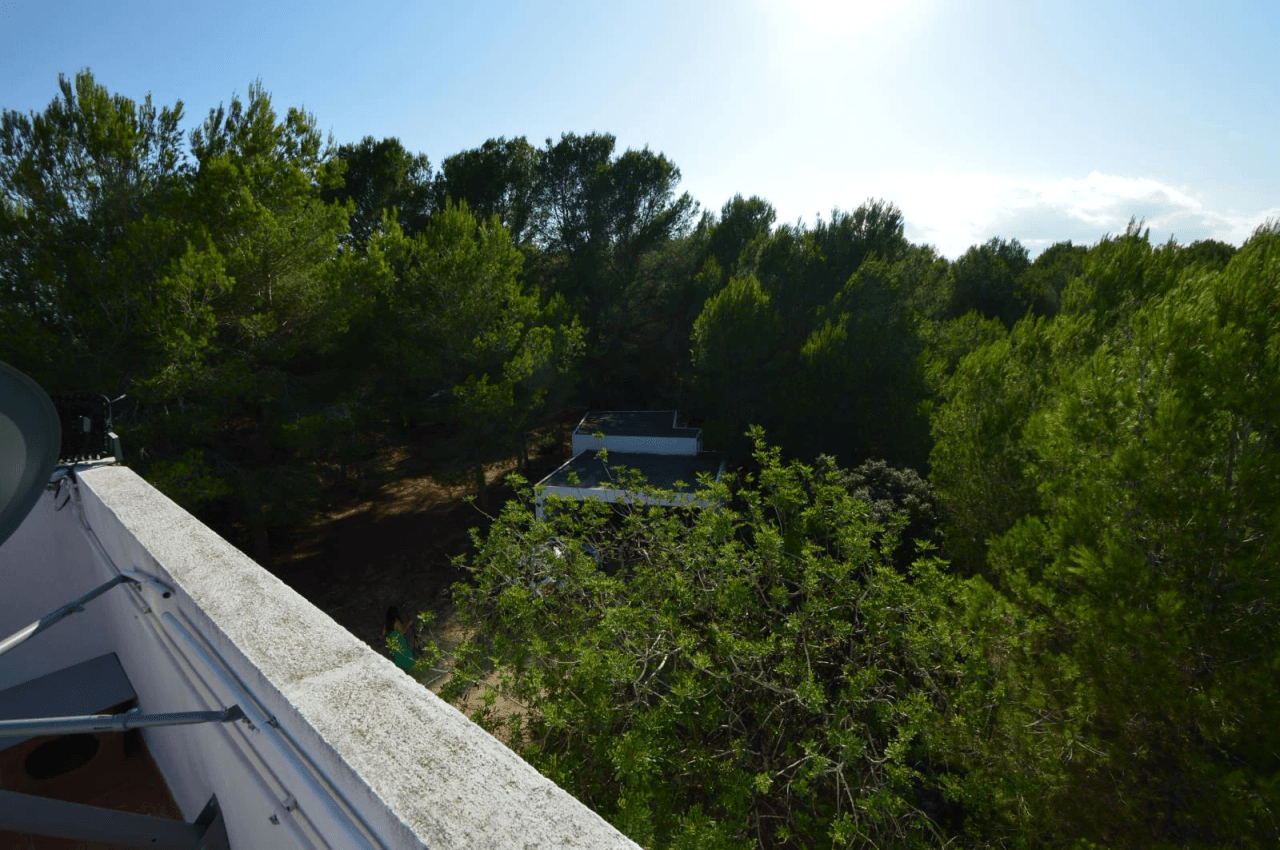 Finca en San Jorge, Castelló: 3 Habitaciones y Piscina