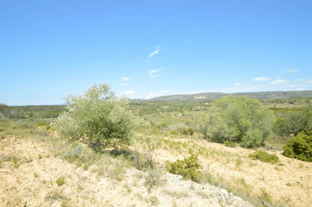En venta, Finca rústica en Alcalá de Xivert (Castellón)