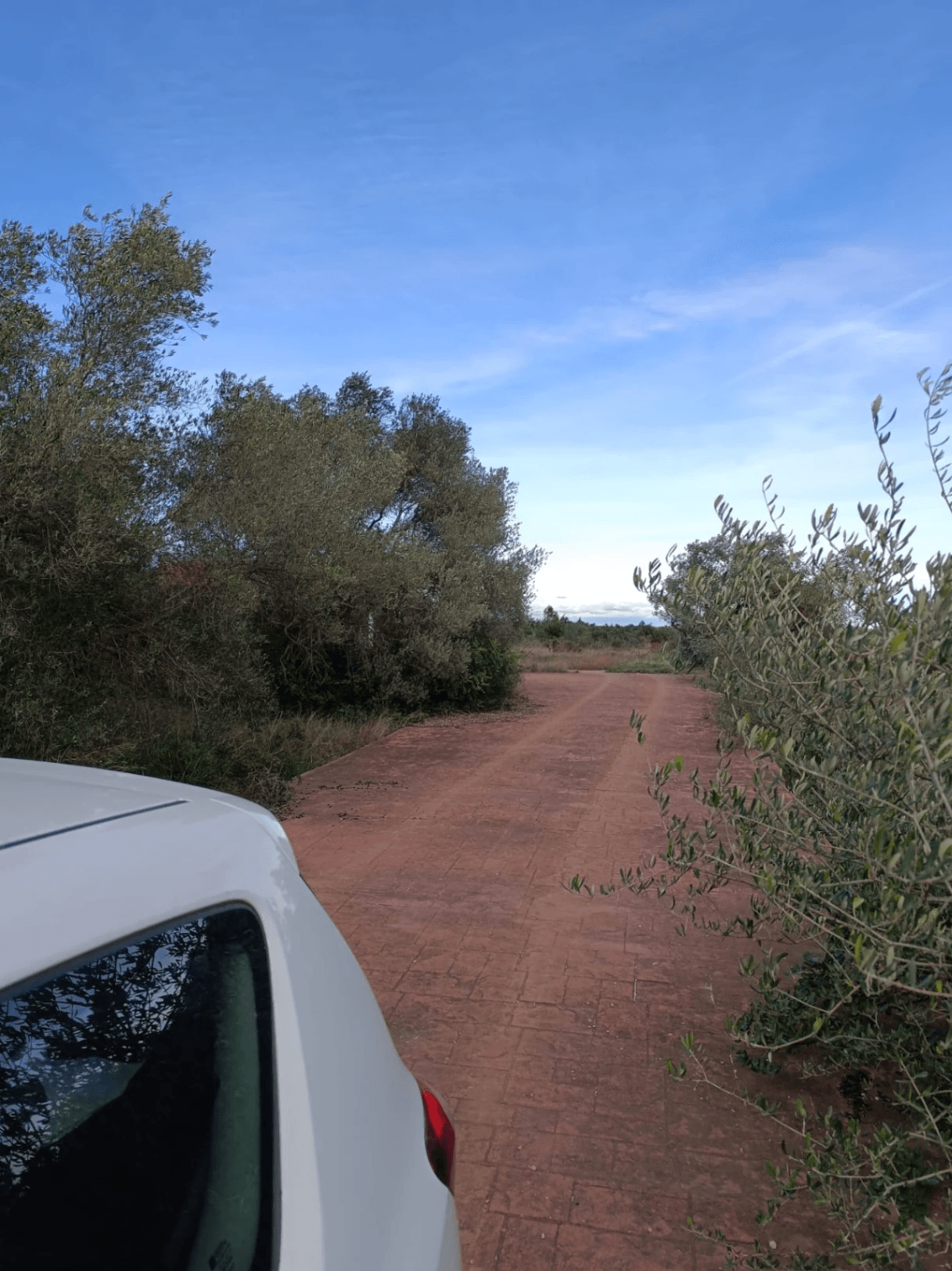 Finca en venta en Canet lo Roig con casa y algibe.