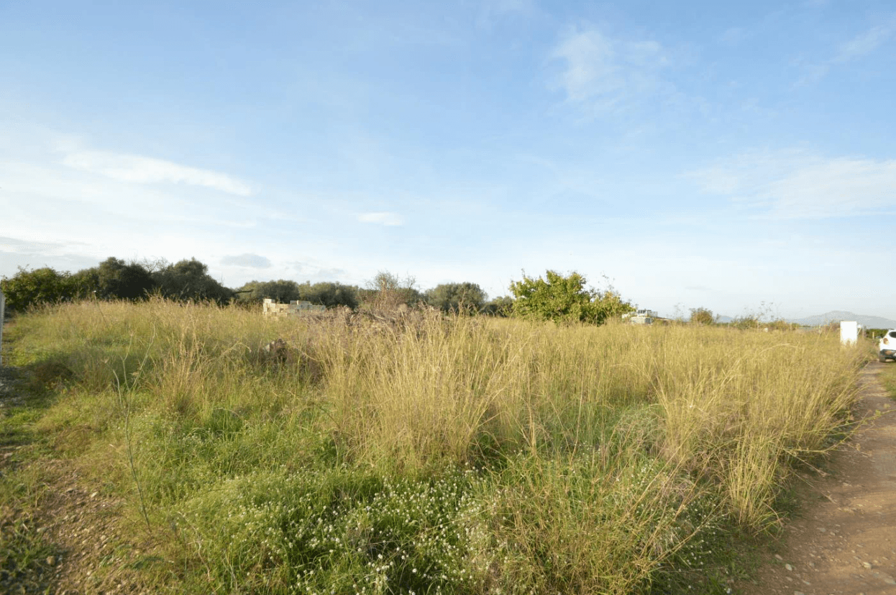 Finca en venta en Vinaròs - Zona Rural con amplia parcela