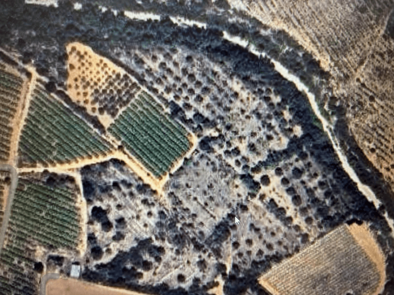 Finca rústica en venta en Benicarló