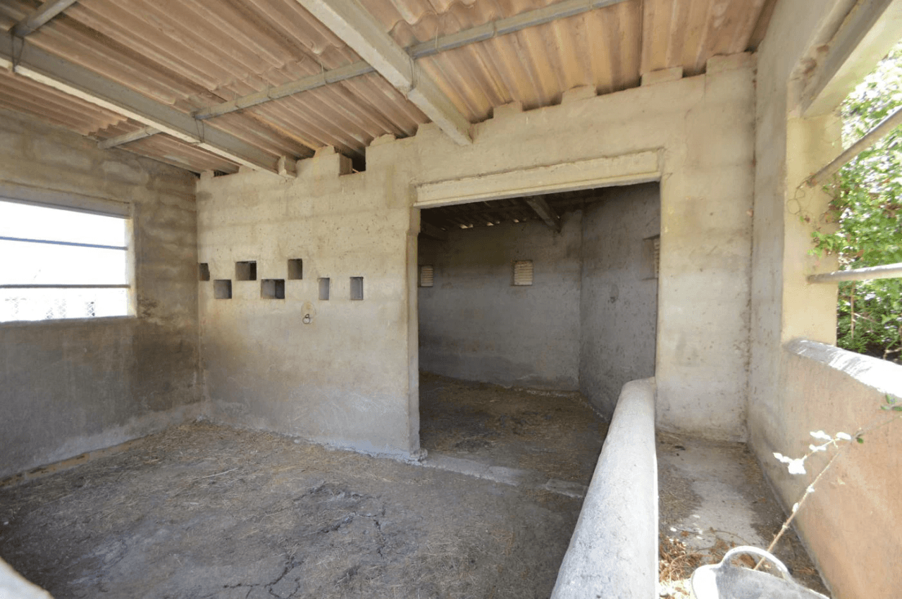 En venta, Finca rústica en Alcalá de Xivert (Castellón)