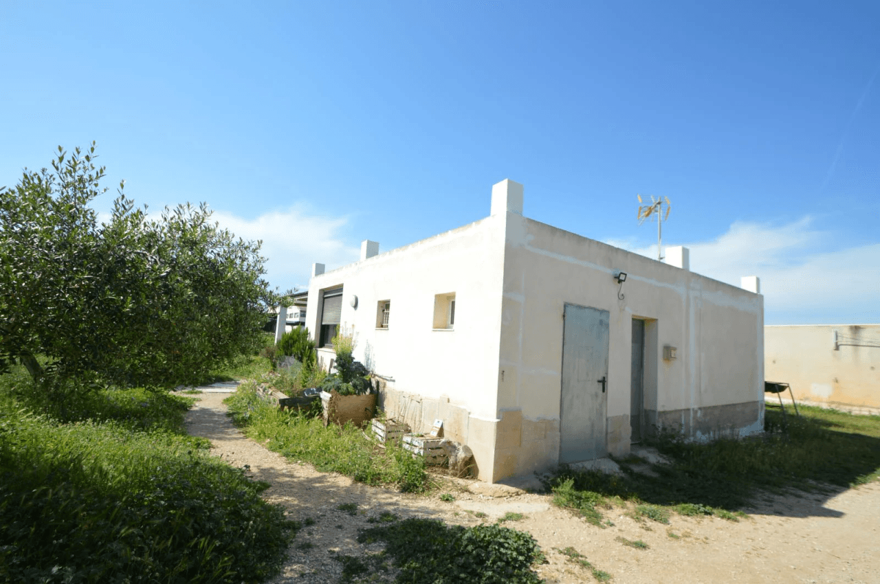 En venta Finca en Vinaròs, granja escuela