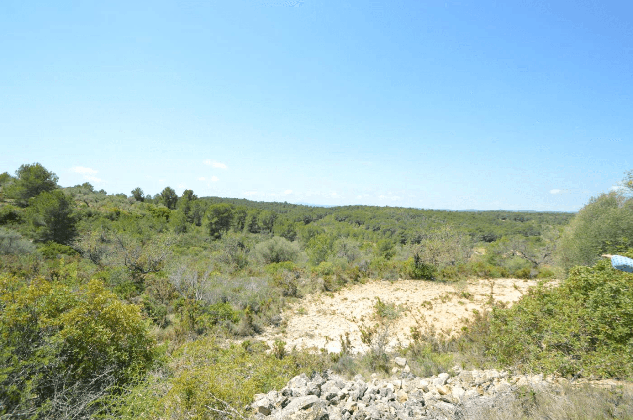 En venta, Finca rústica en Alcalá de Xivert (Castellón)