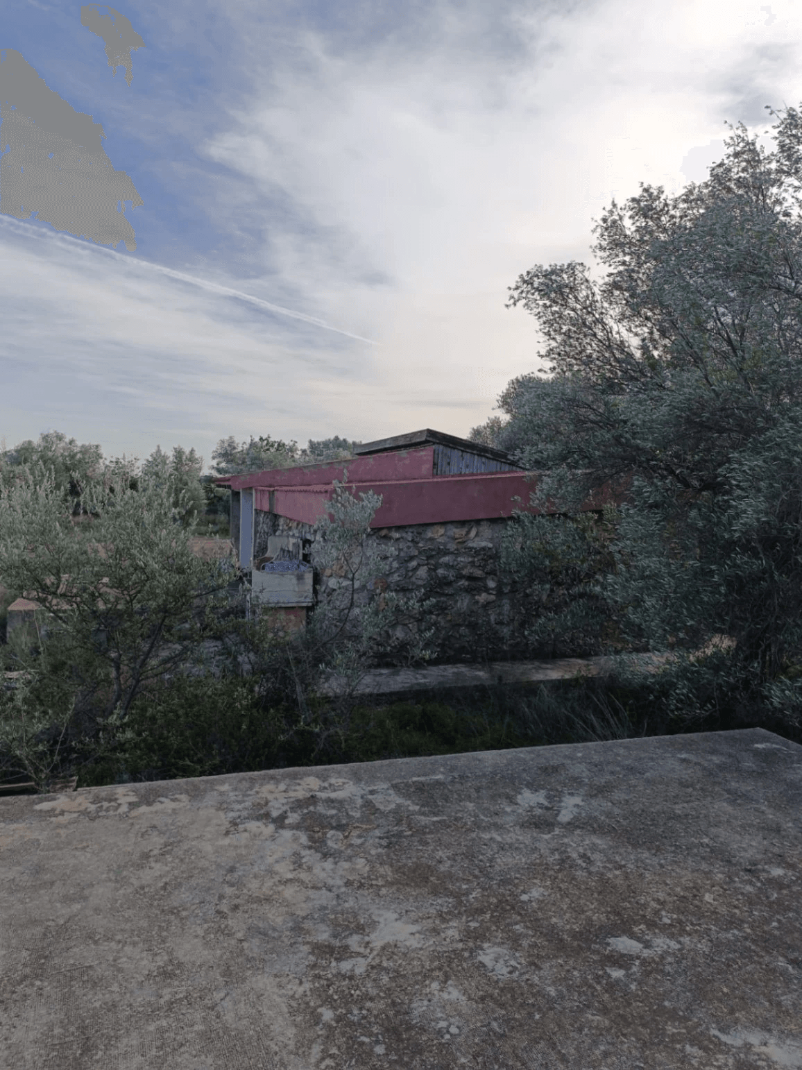 Finca en venta en Canet lo Roig con casa y algibe.